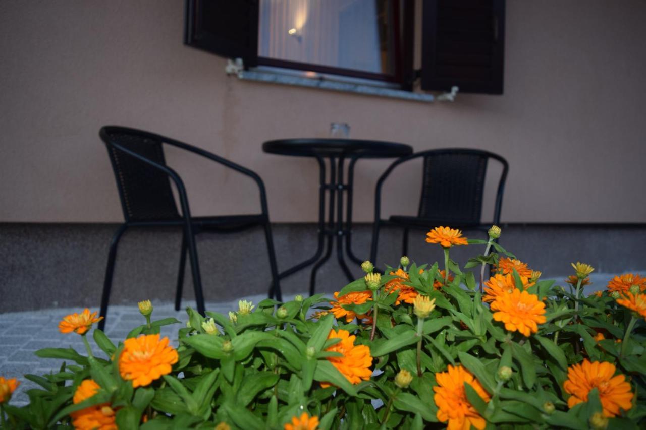 Apartman Nino Novigrad  Dış mekan fotoğraf
